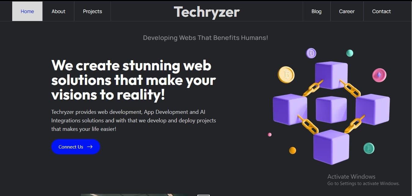 Techryzer Company Website